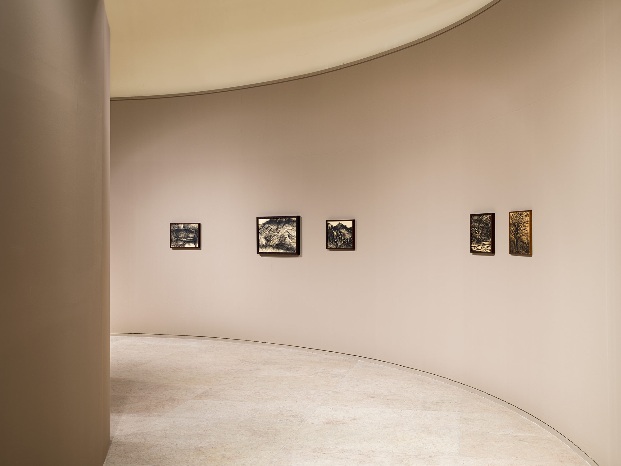 Maria Capelo - exposição Sombras rosas sombras, 2025